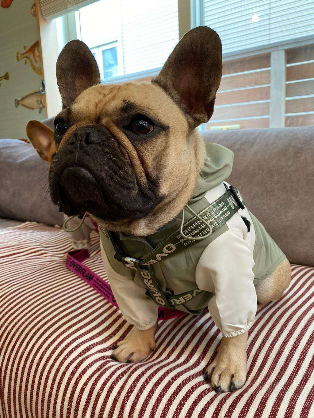 Ribbon Harness in Rose and Green