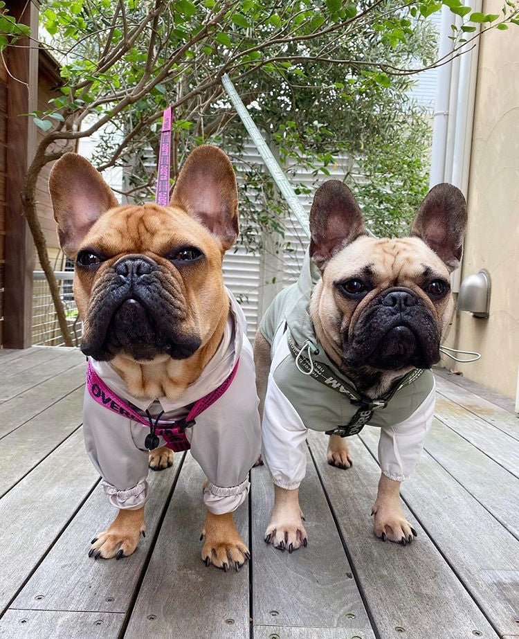 Ribbon Harness in Rose and Green