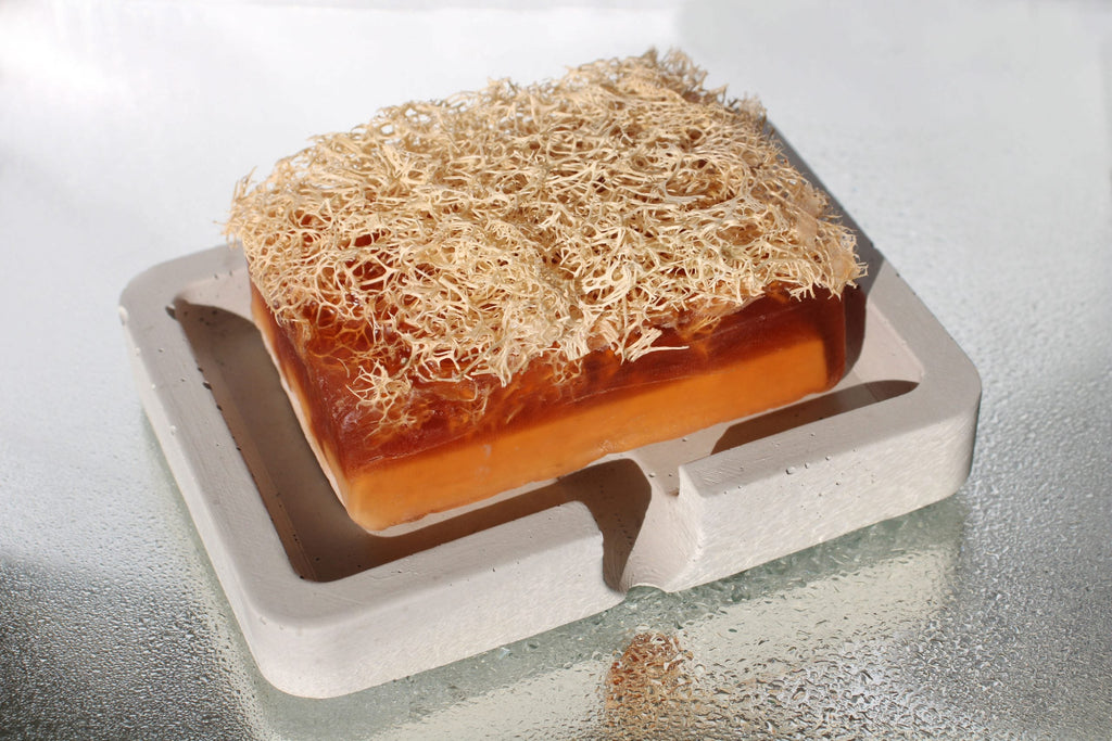 Gray Concrete Soap Holder