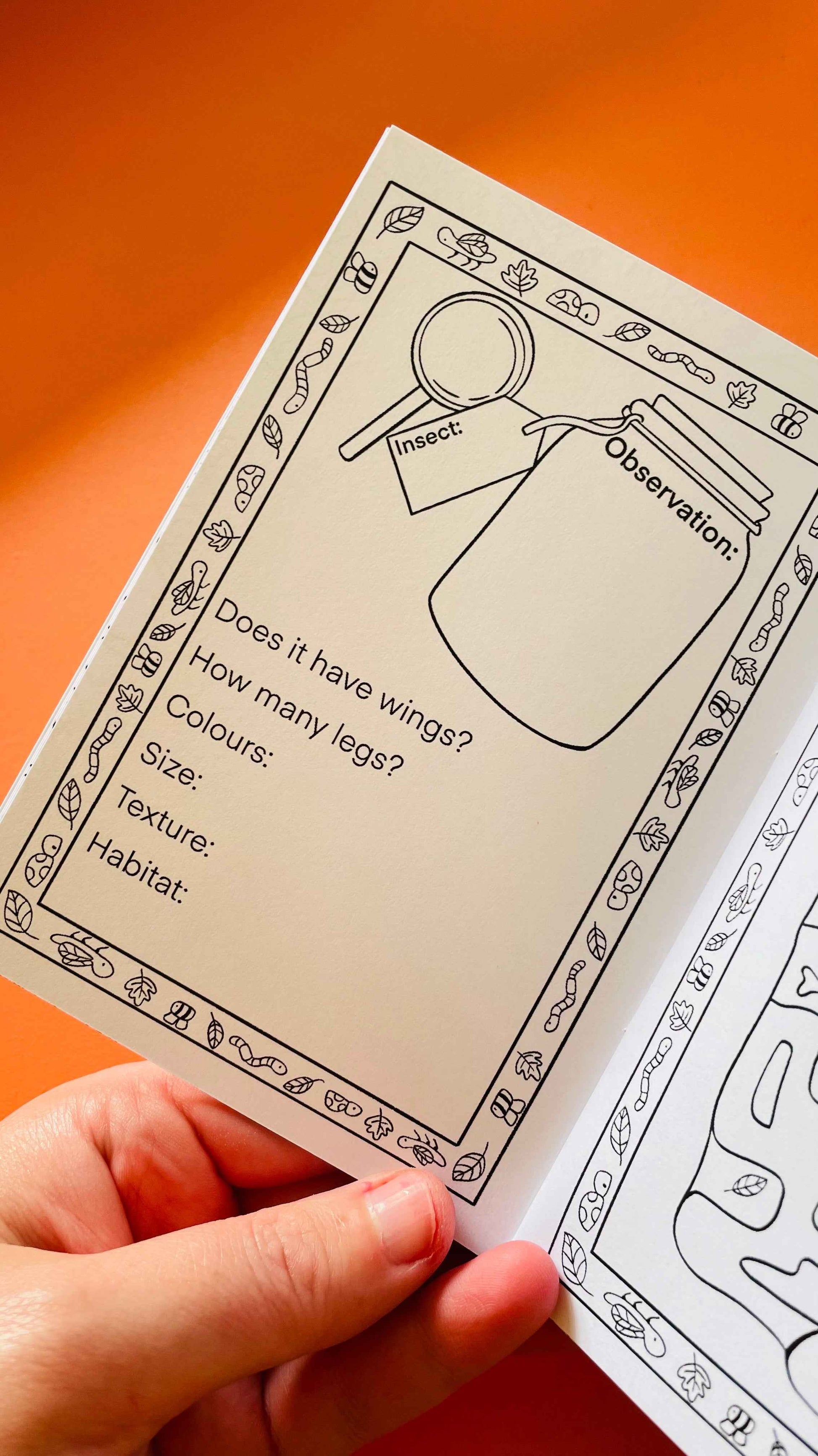 Pocket Bugs Activity Book