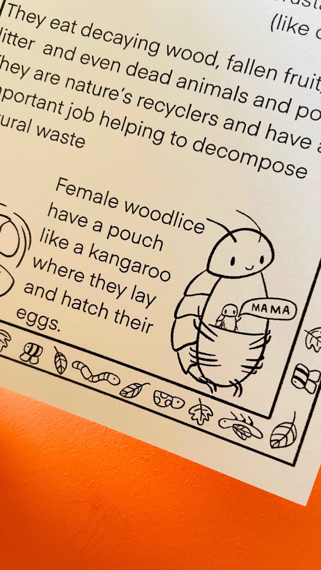 Pocket Bugs Activity Book