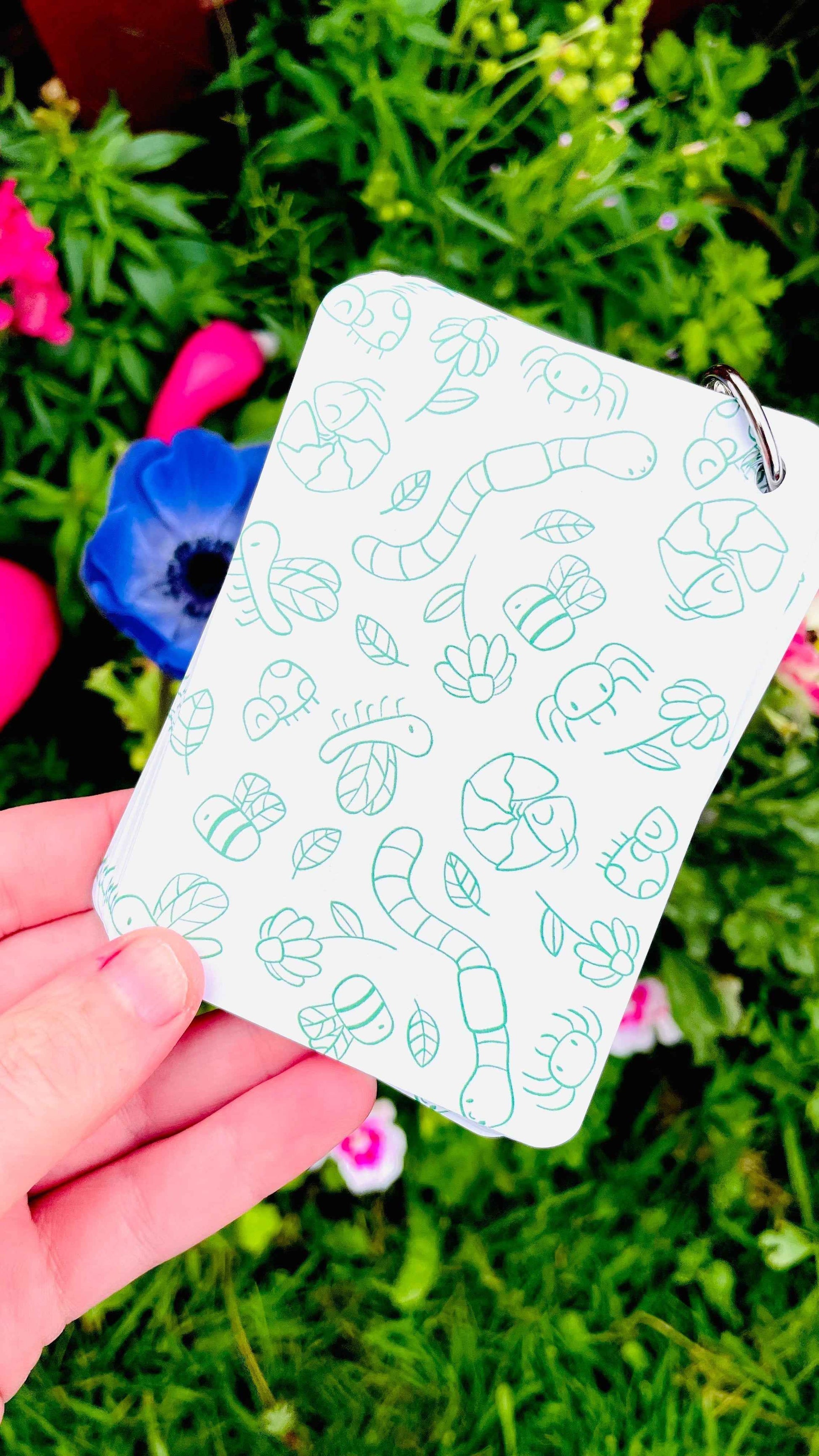 Garden Bugs Illustrated Identification Cards