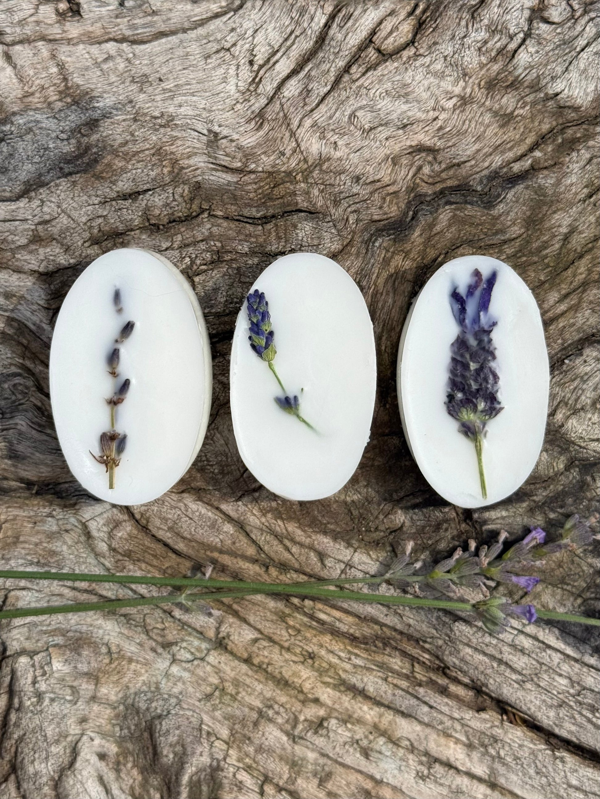 Lavender Wax Melts, Set of 2