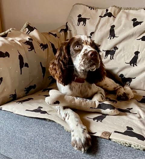 Handcrafted Luxury Dog Blanket with Dog Print