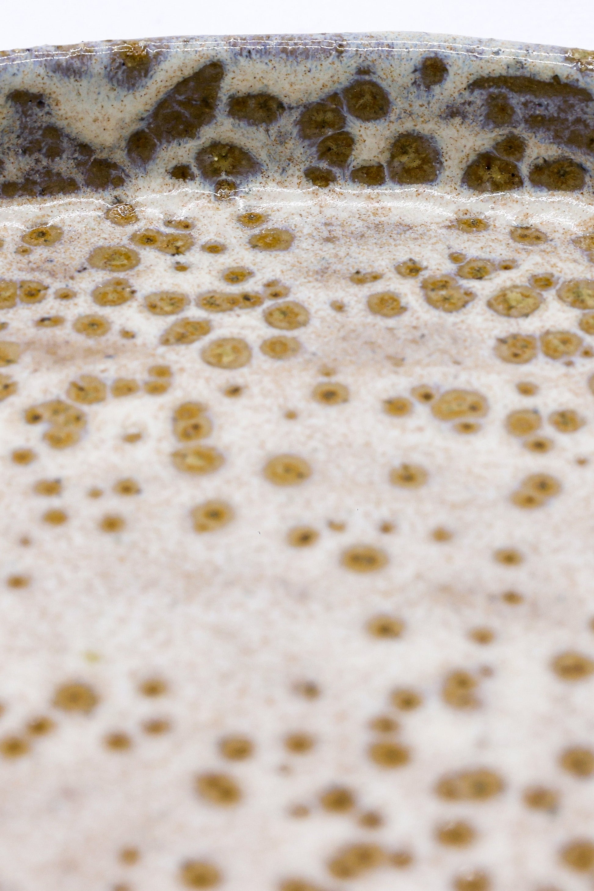 27cm Saltfoam Handmade Ceramic Dinner Plate