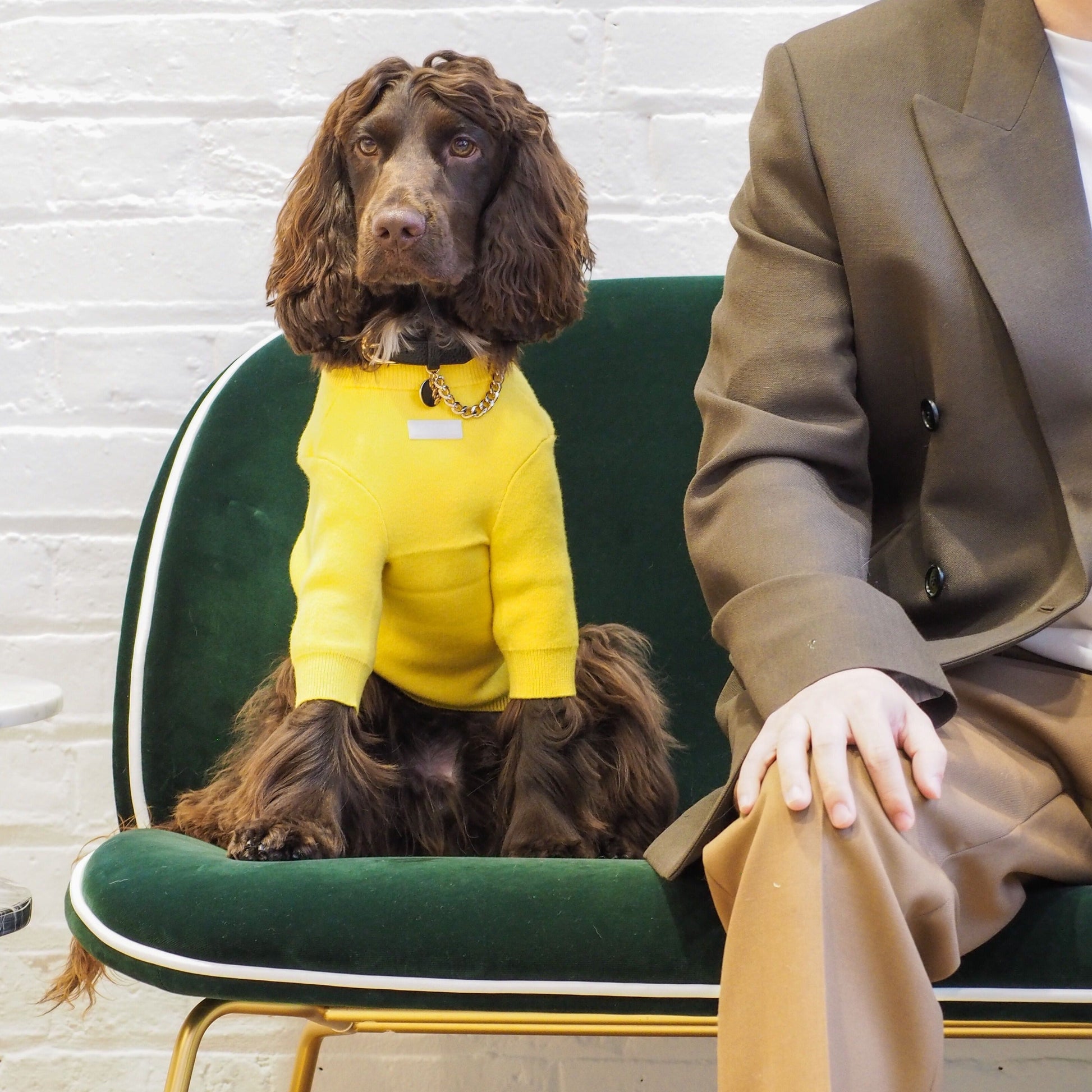 Bright Yellow Jumper