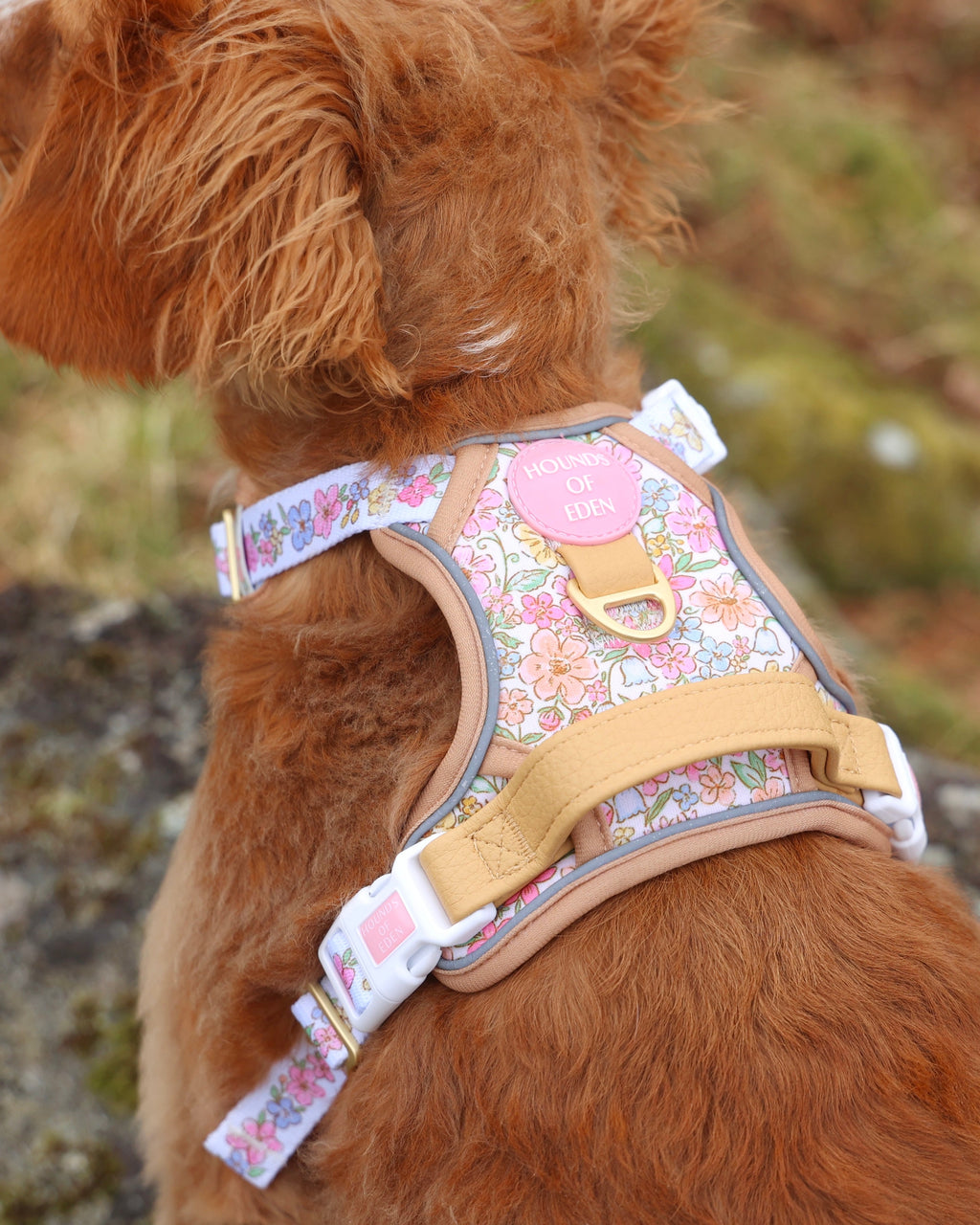 Pastel Petals Dog Harness XS to XL