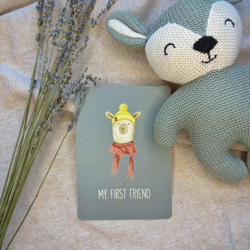 Baby Milestone Cards Set of 30