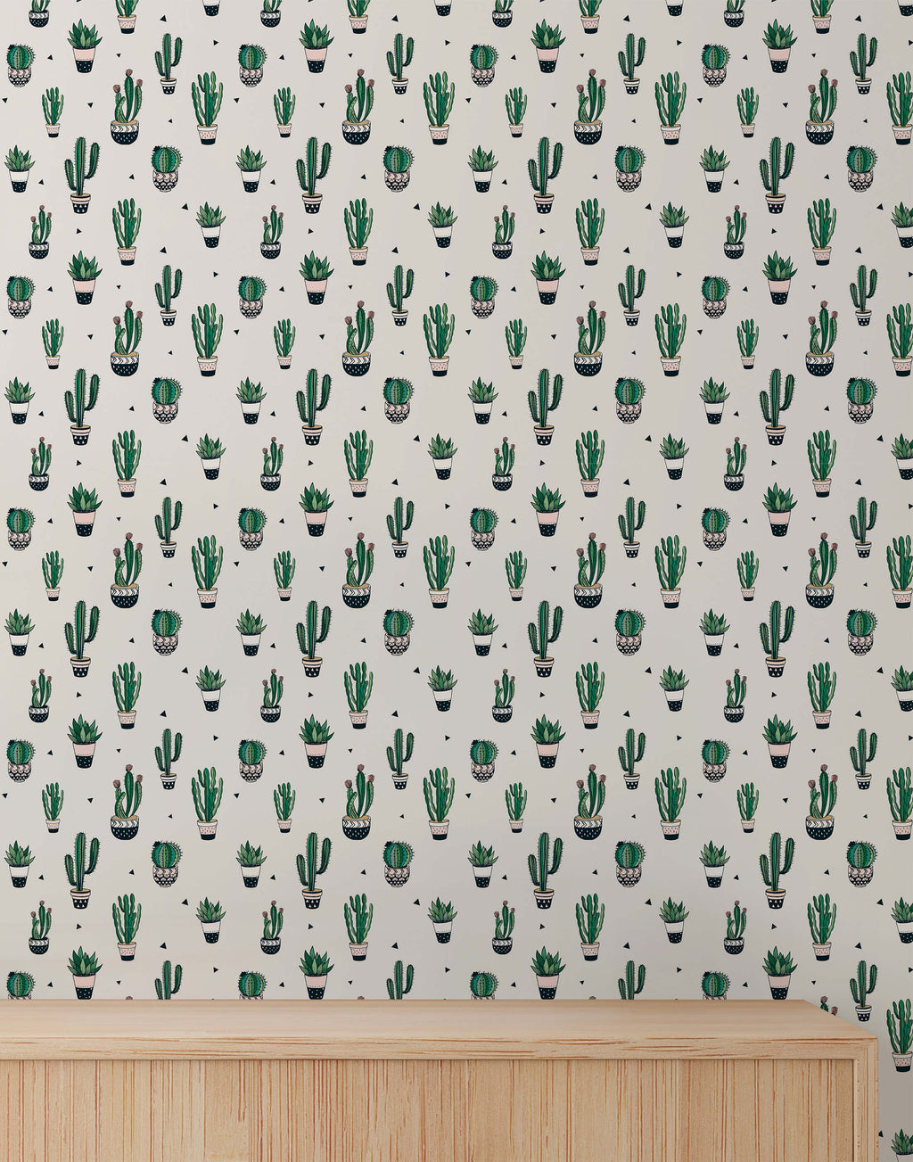 Cactus Wallpaper Juss