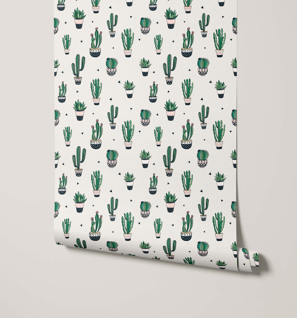 Cactus Wallpaper Juss