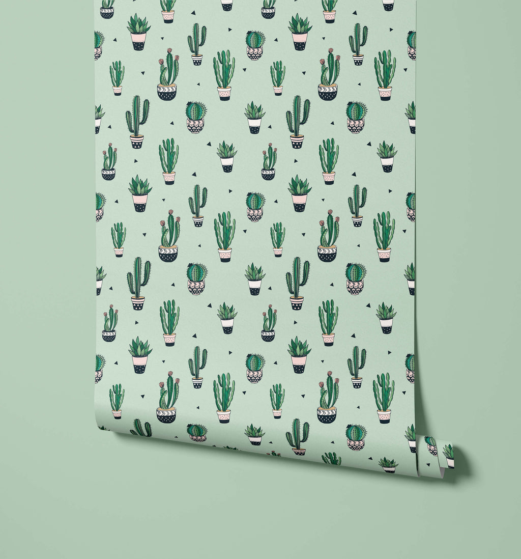 Cactus Wallpaper Juss