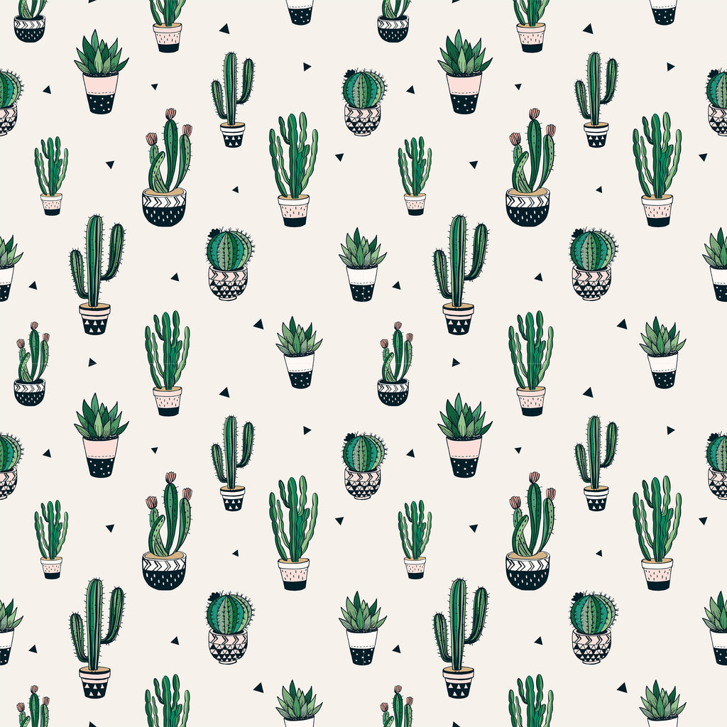 Cactus Wallpaper Juss