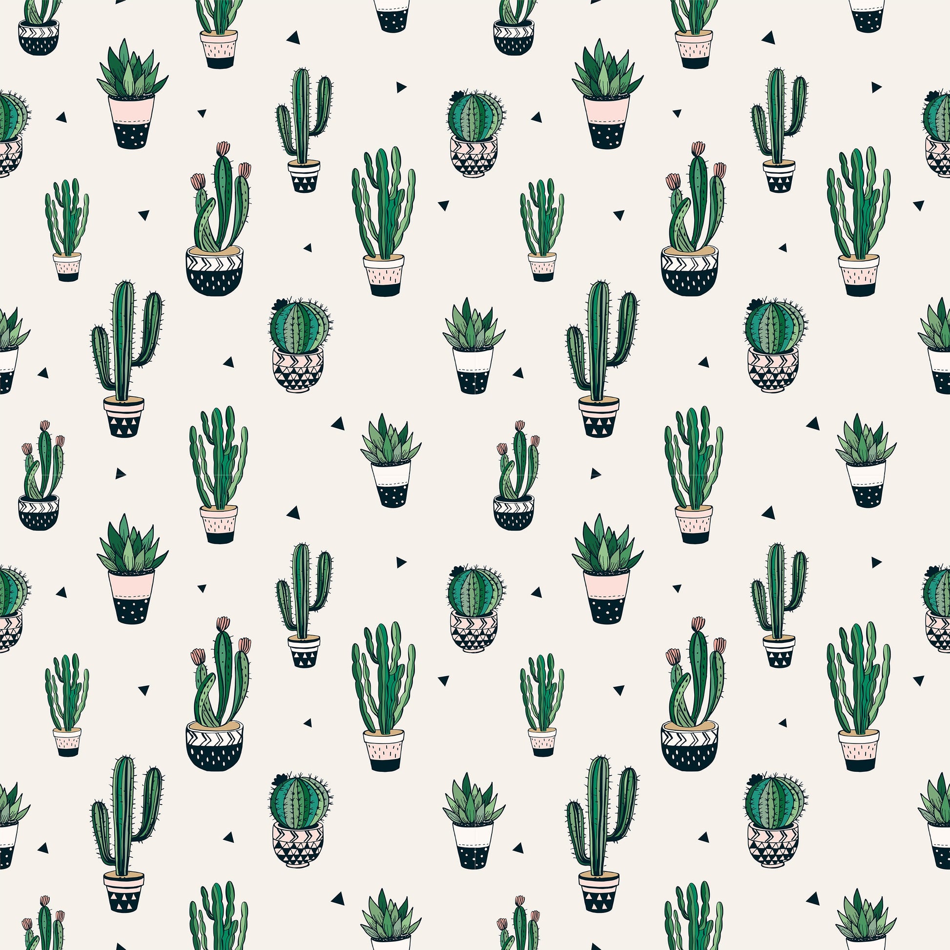 Cactus Wallpaper Juss