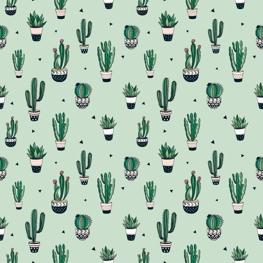Cactus Wallpaper Juss