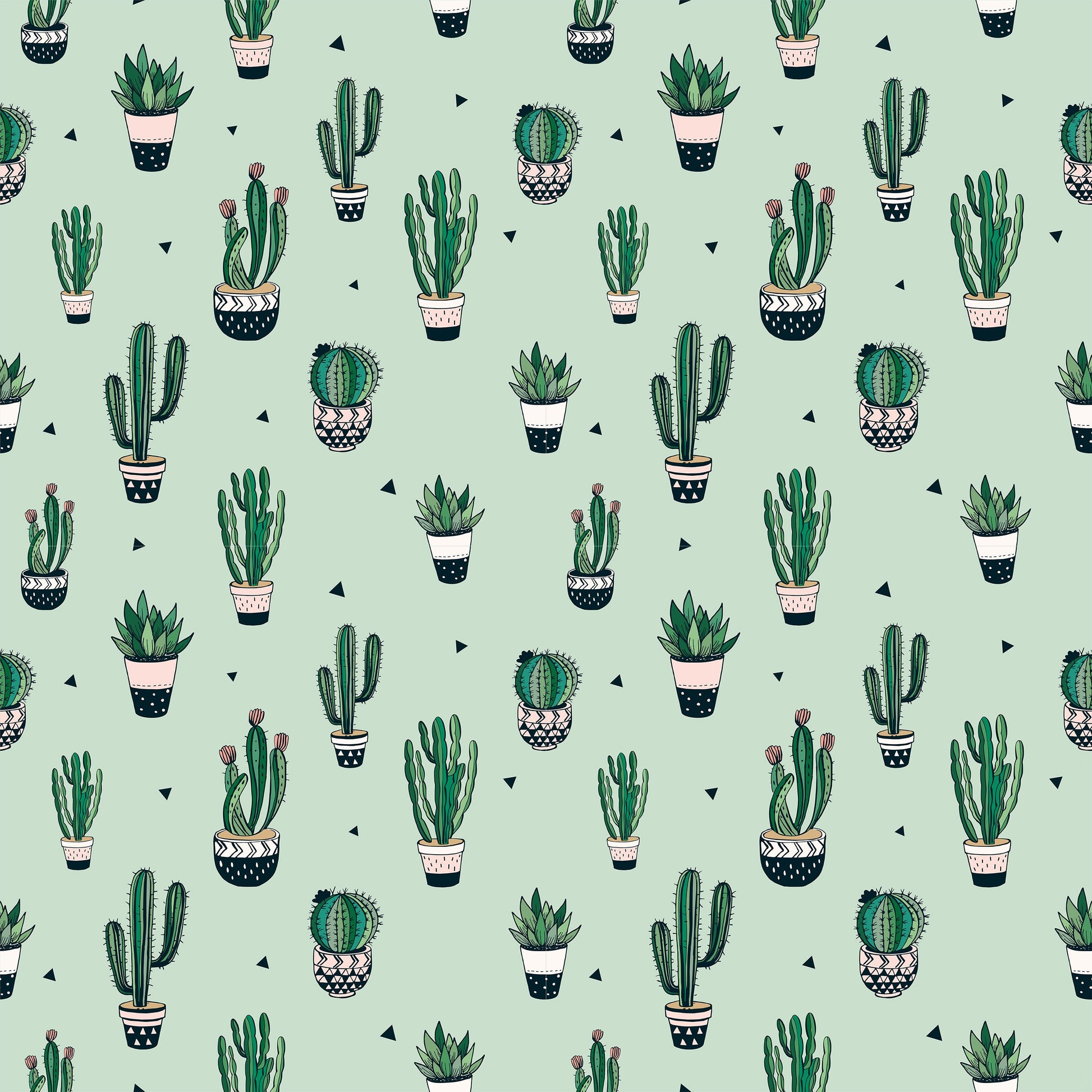 Cactus Wallpaper Juss