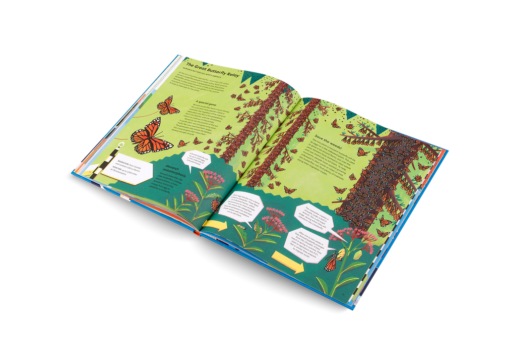 Keep On Moving The Great Animal Migrations