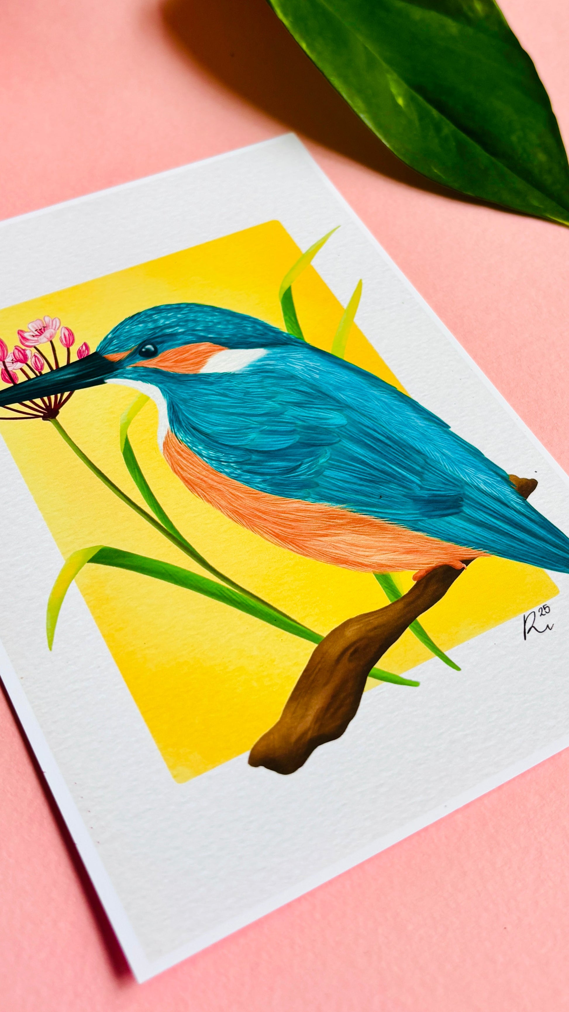 Kingfisher Wildlife and Botanical Art Print British Birds Wall Art