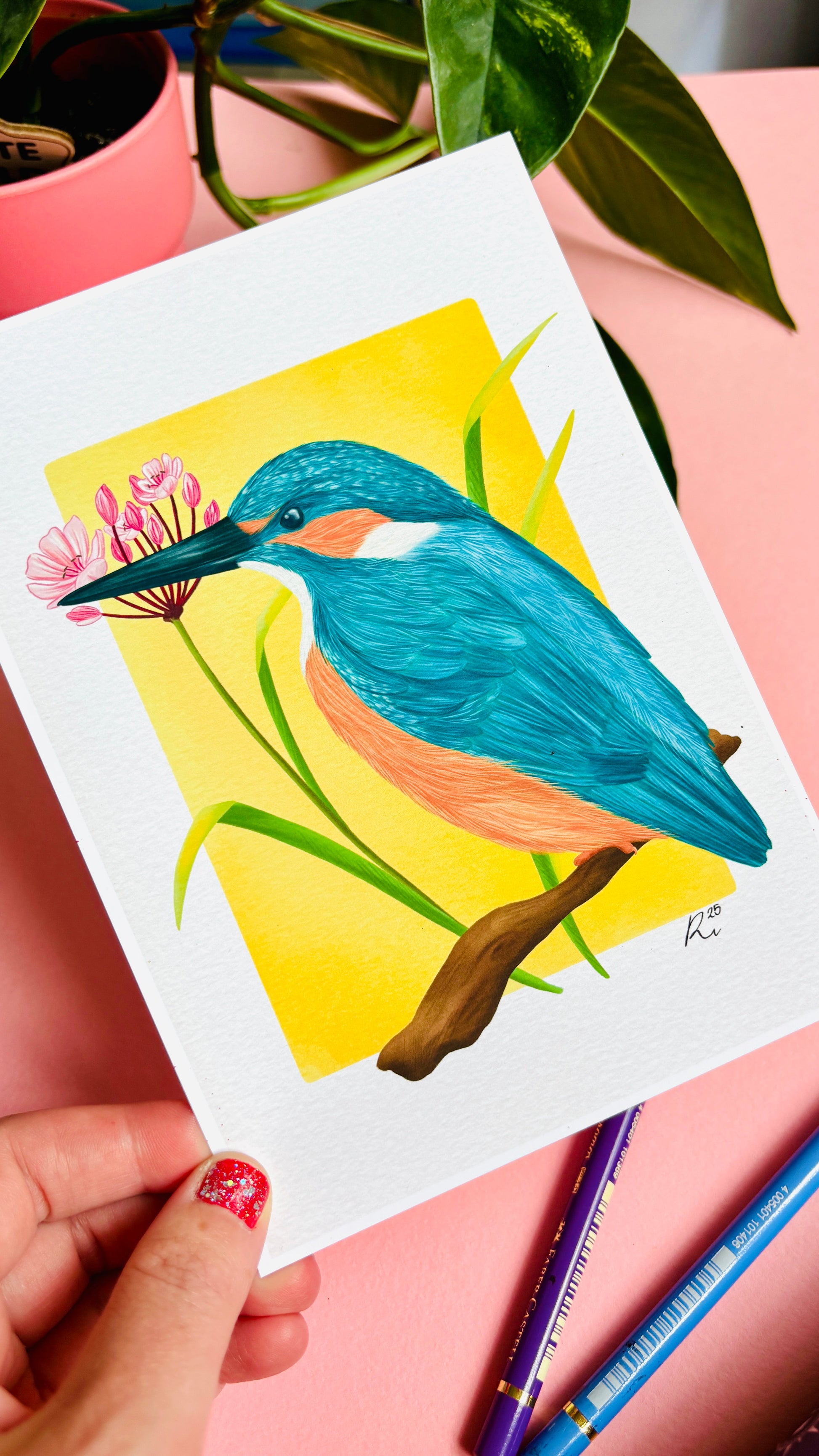 Kingfisher Wildlife and Botanical Art Print British Birds Wall Art