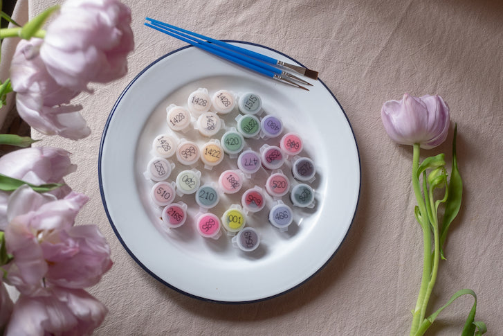 Paint By Numbers Kit Connie Blooms 40x50cm