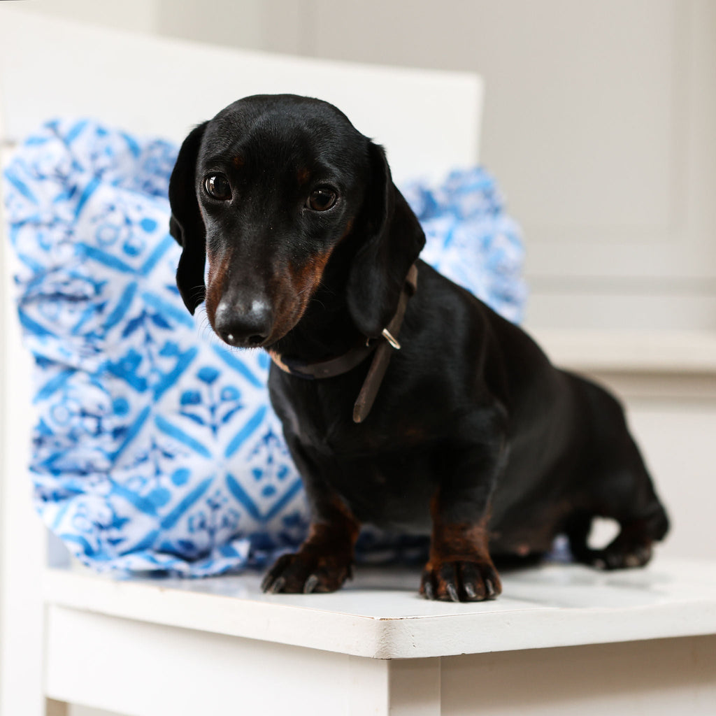 Blue Trellis Cushion Cover 30cm x 50cm