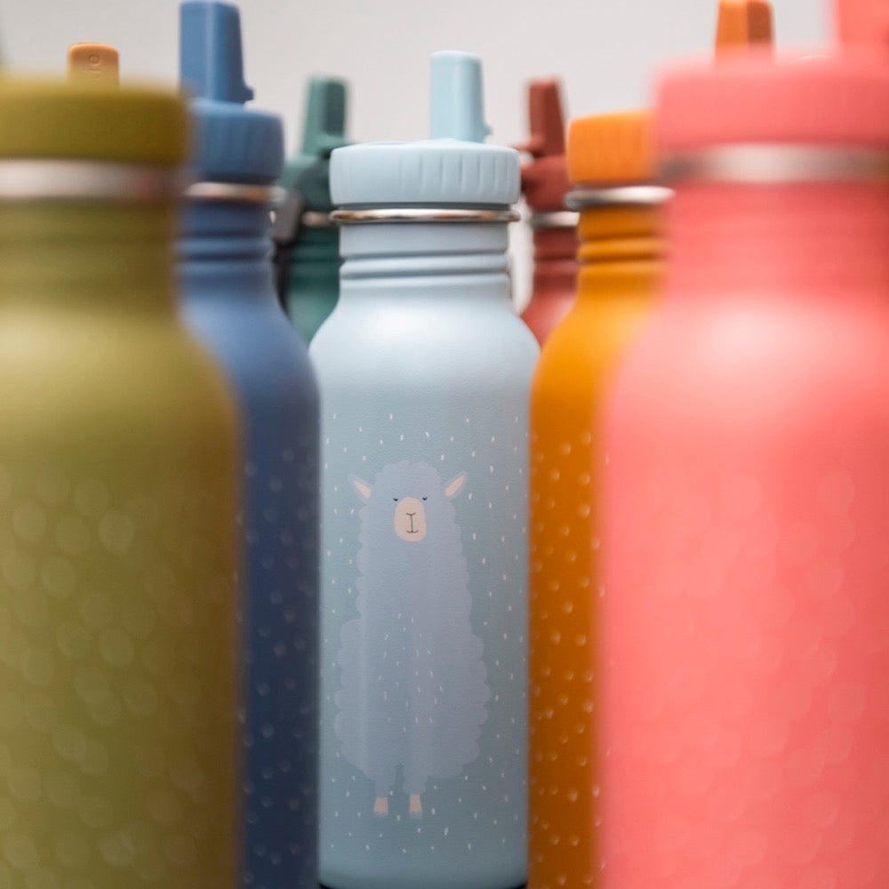 Durable Stainless Steel Kids Water Bottle – Leak Proof & Safe by Trixie Baby at brixbailey.com