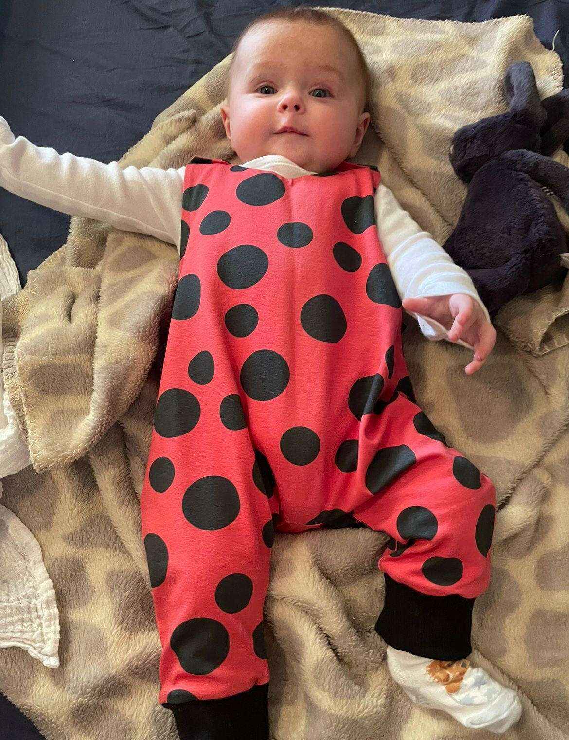 Ladybird Romper for Babies and Children