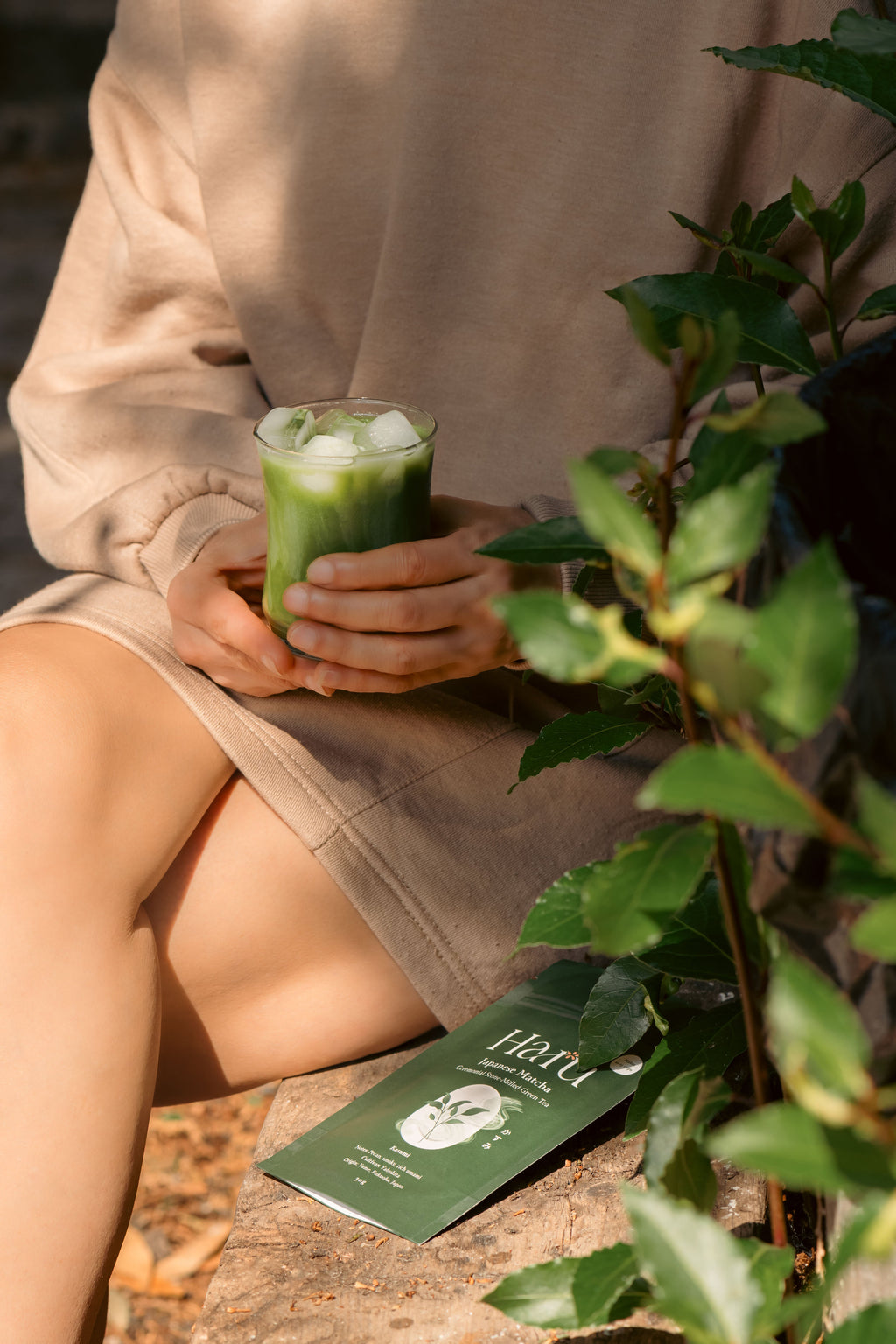 Nutty Matcha from Yame 2025 Harvest