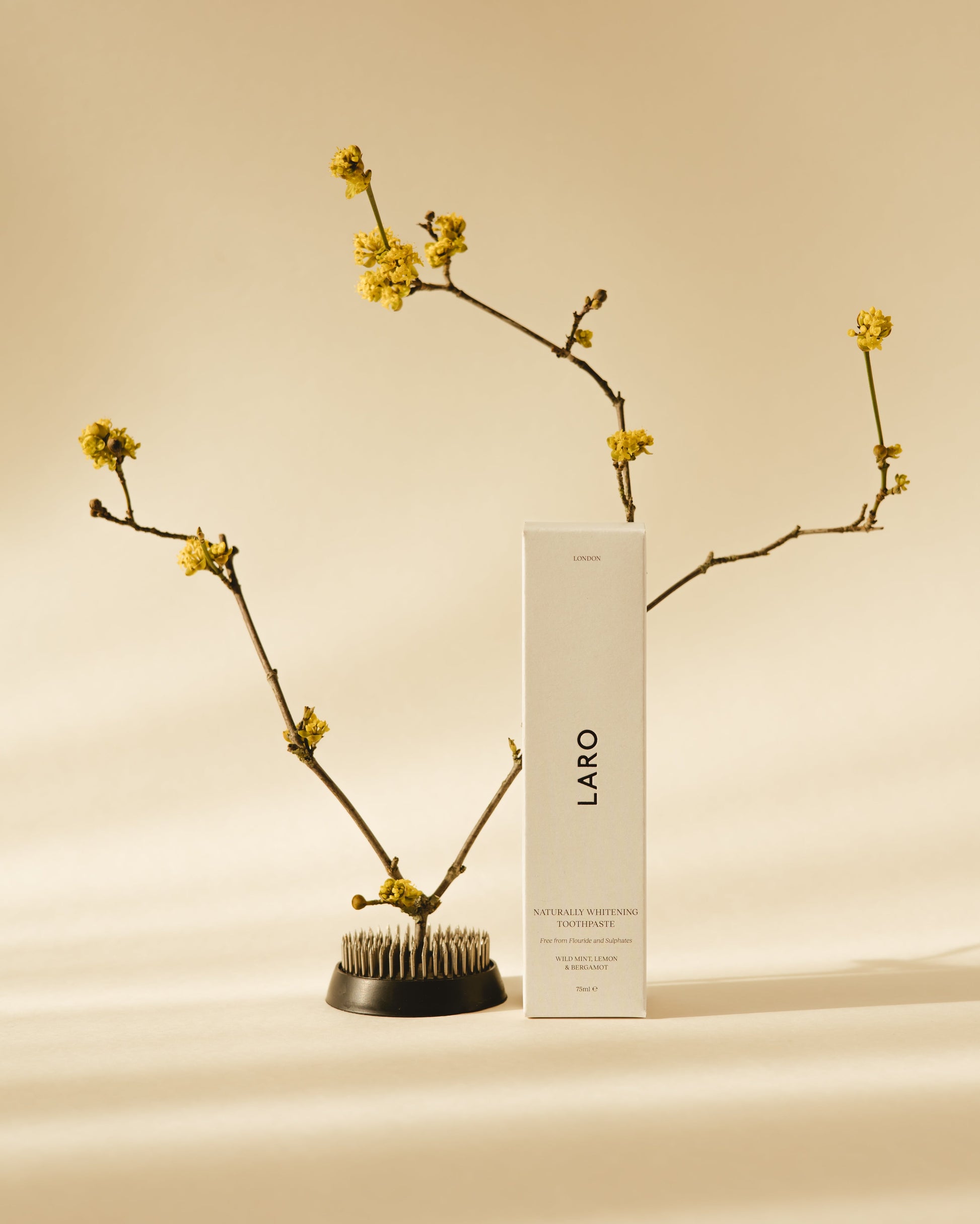Naturally Whitening Toothpaste Fluoride Free