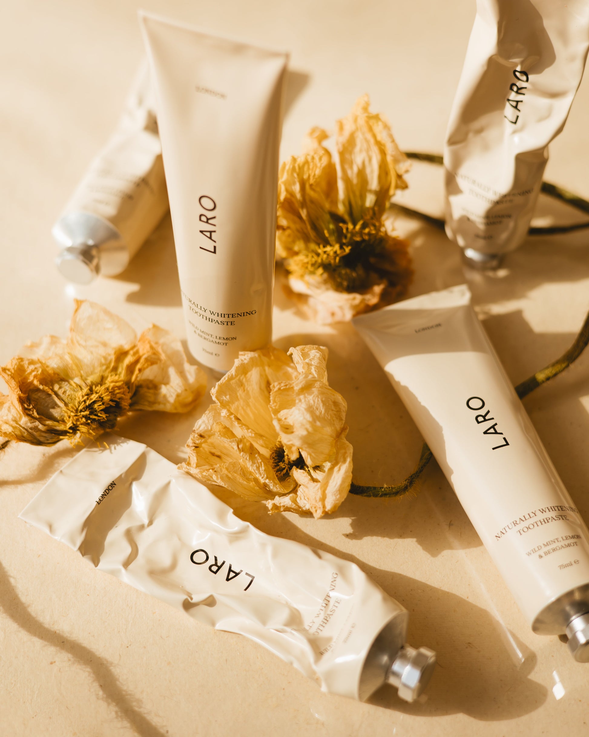 Quarterly Toothpaste Subscription Box