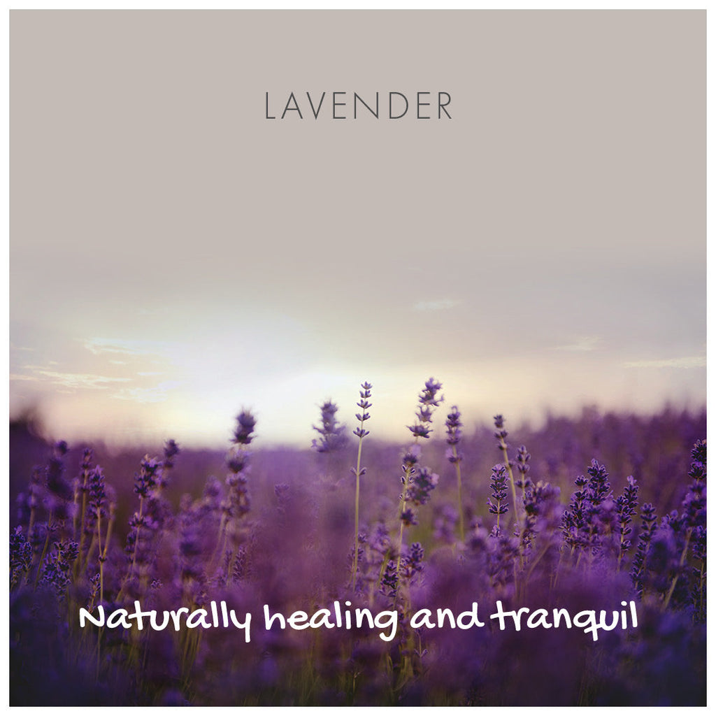 Lavender Natural Soap Bar