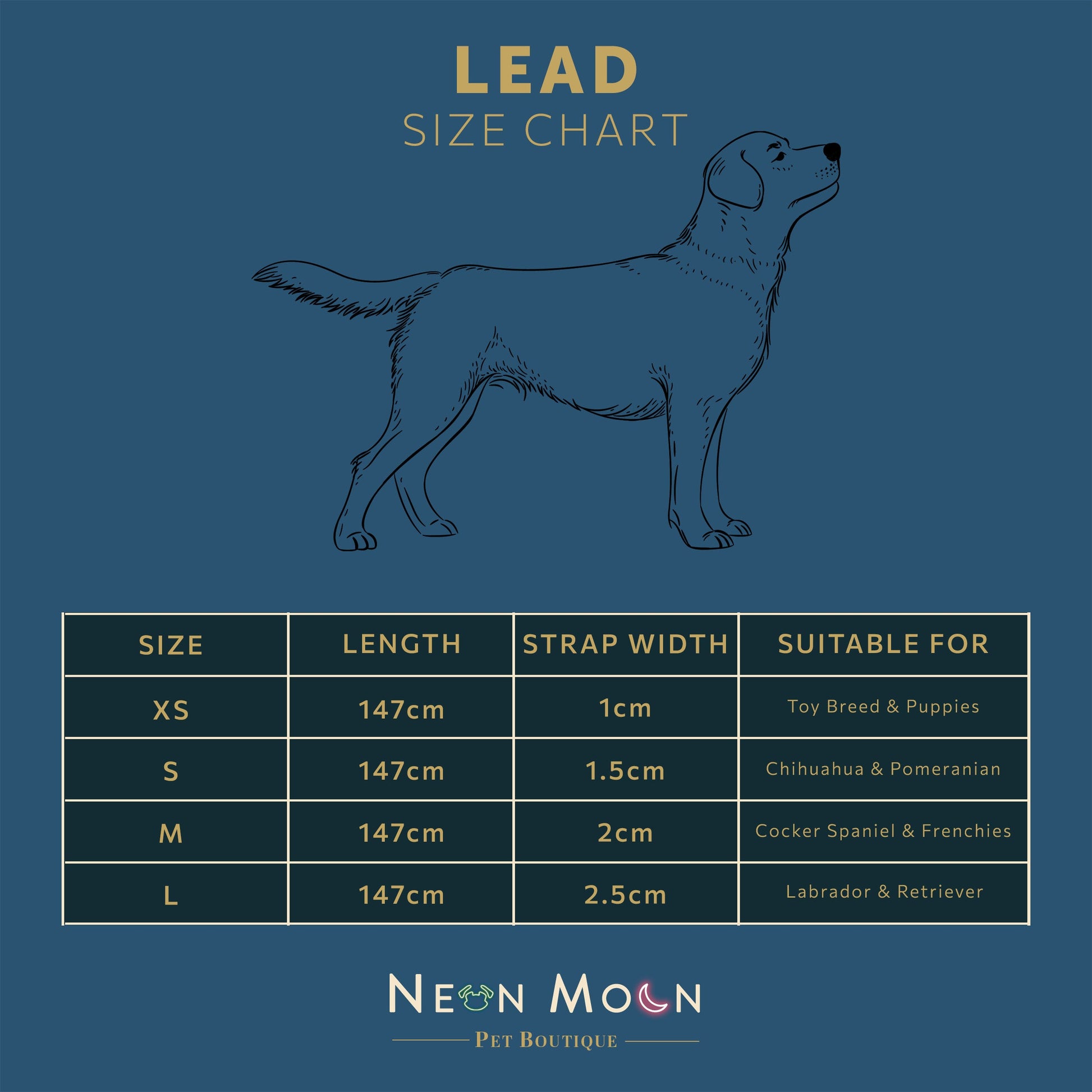 Red Chevron Dog Lead with Padded Handle