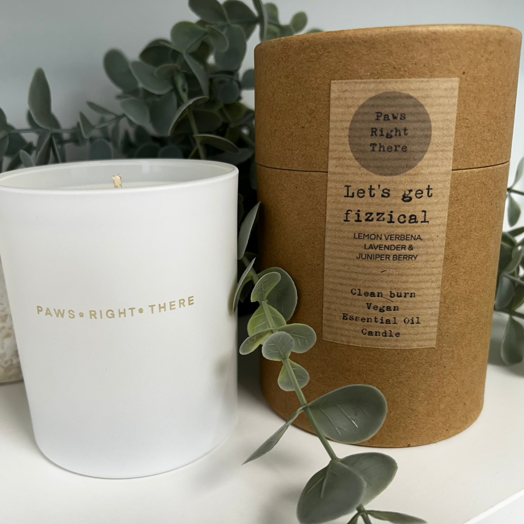 Lets Get Fizzical Clean Burn Essential Oil Candle