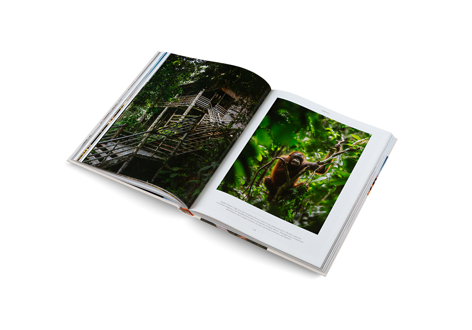 Life on the Road Around the World on Four Wheels