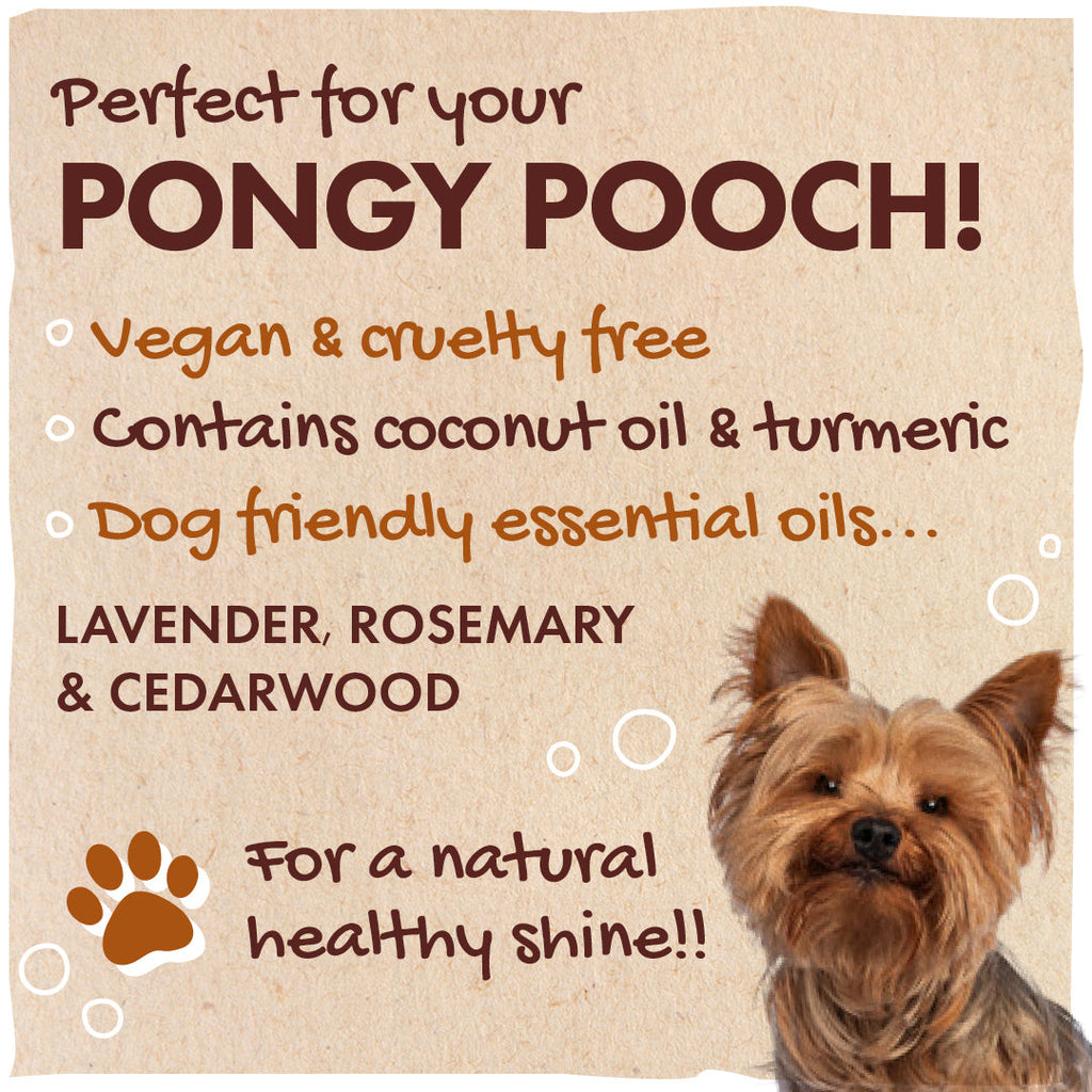 Natural Dog Shampoo Bar