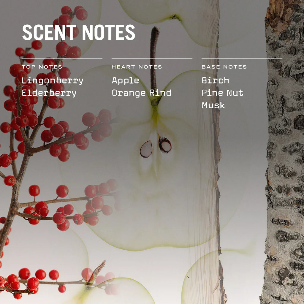 Lingonberry Reed Diffuser 100ml