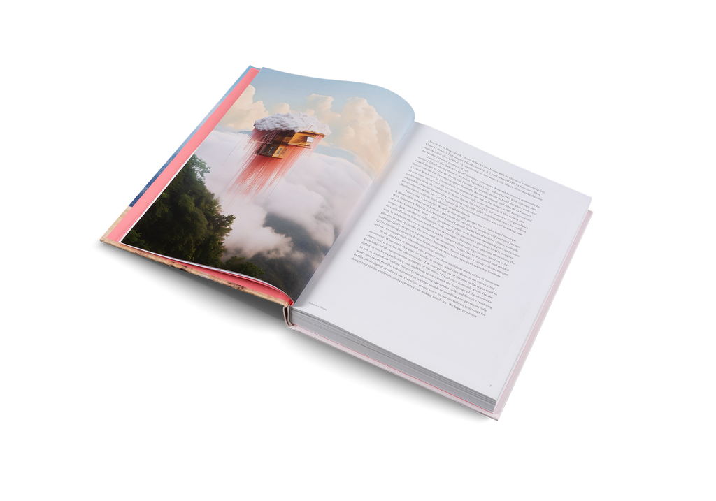 Living in a Dream Imagined Architecture and Interiors