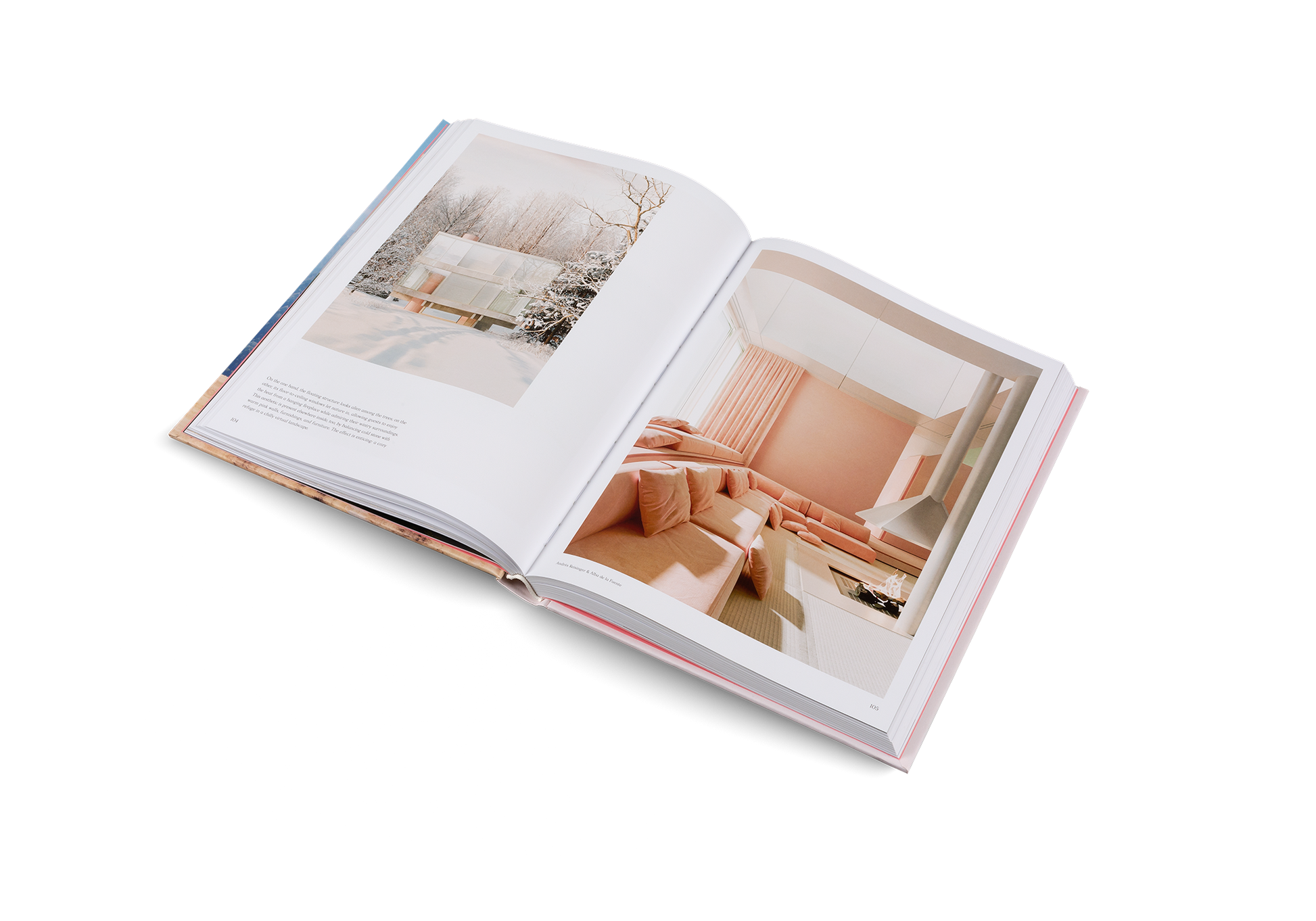 Living in a Dream Imagined Architecture and Interiors