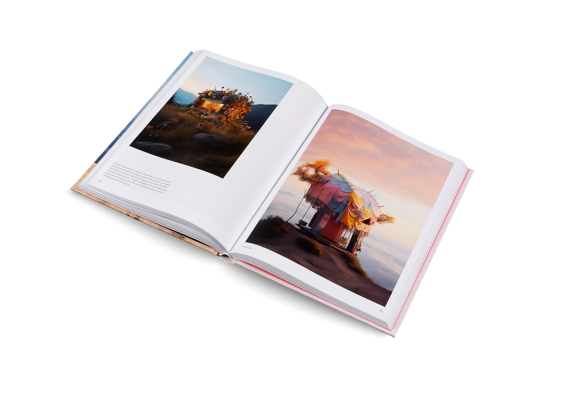 Living in a Dream Imagined Architecture and Interiors