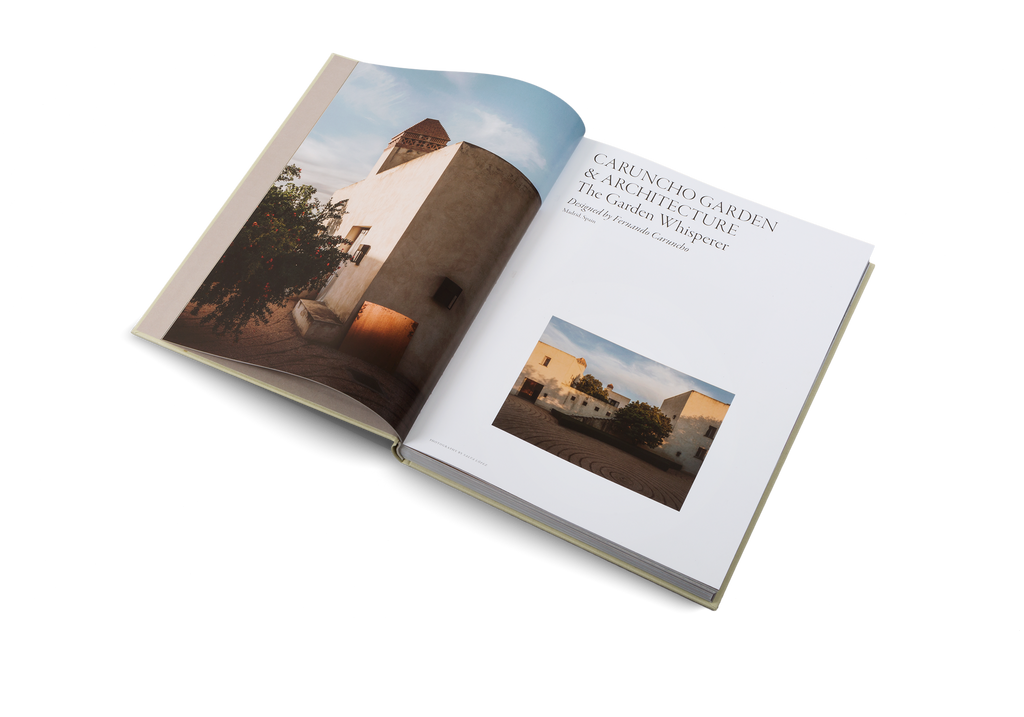 Modern Residential Architecture Masterpiece