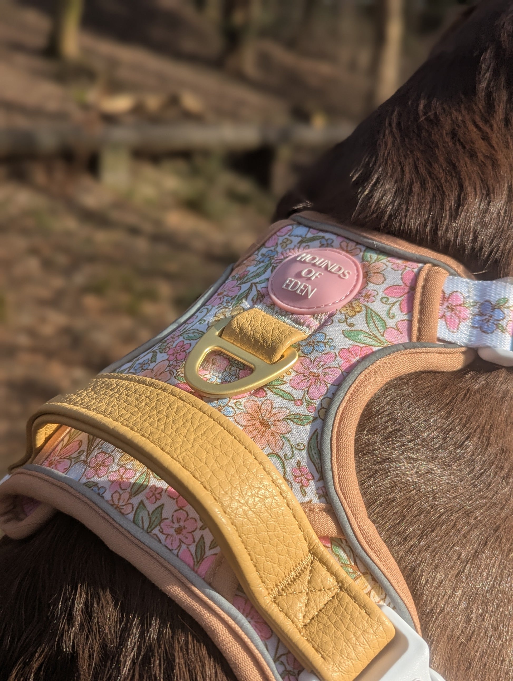 Pastel Petals Dog Harness XS to XL