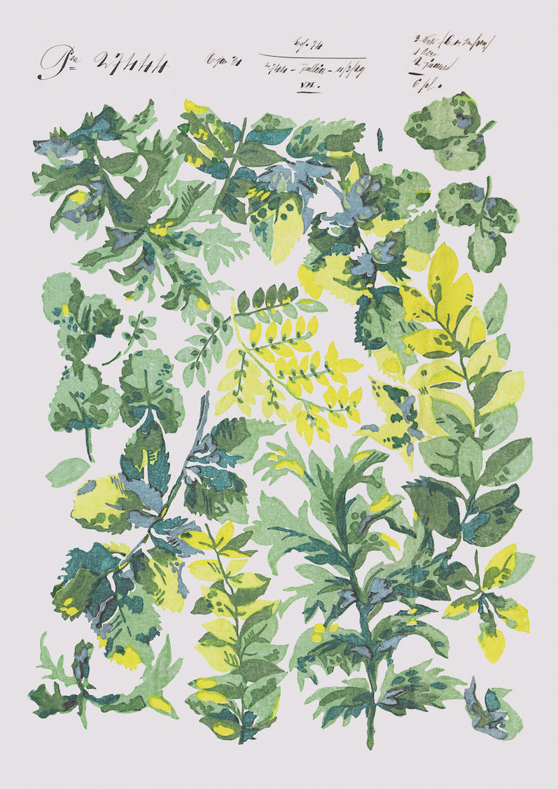 Midsummer Dreams Vintage Archive Poster Print