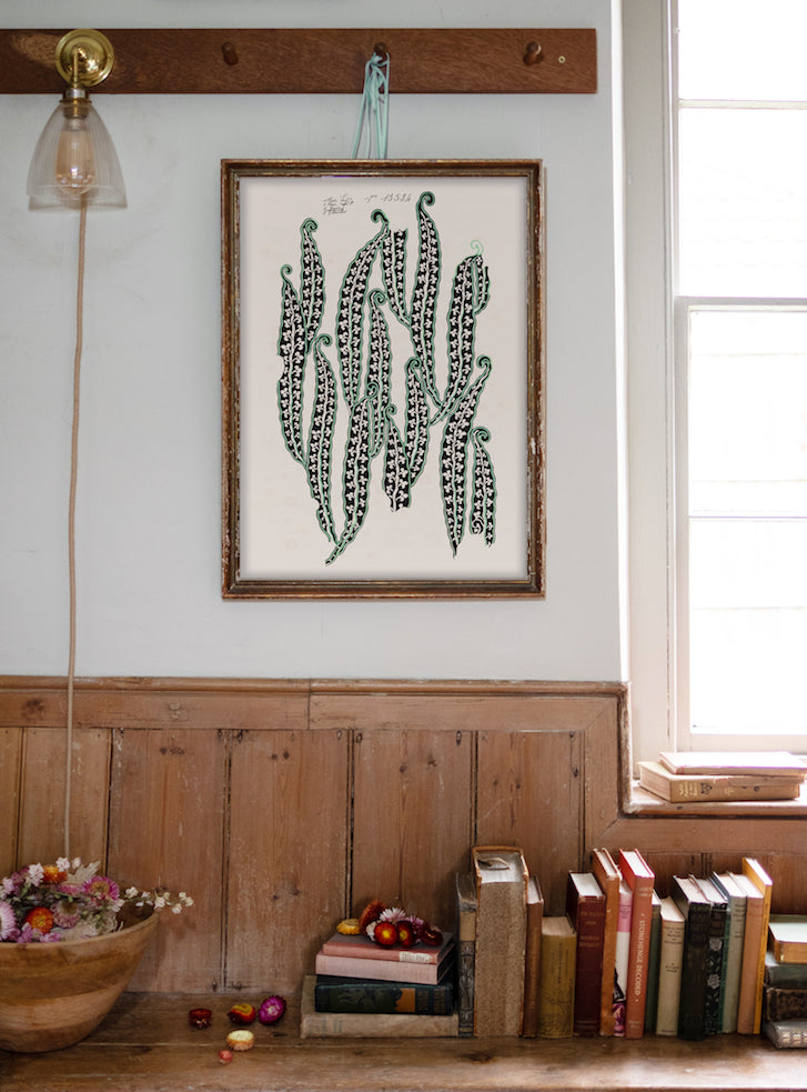 Magic Beans II Vintage Archive Poster Print