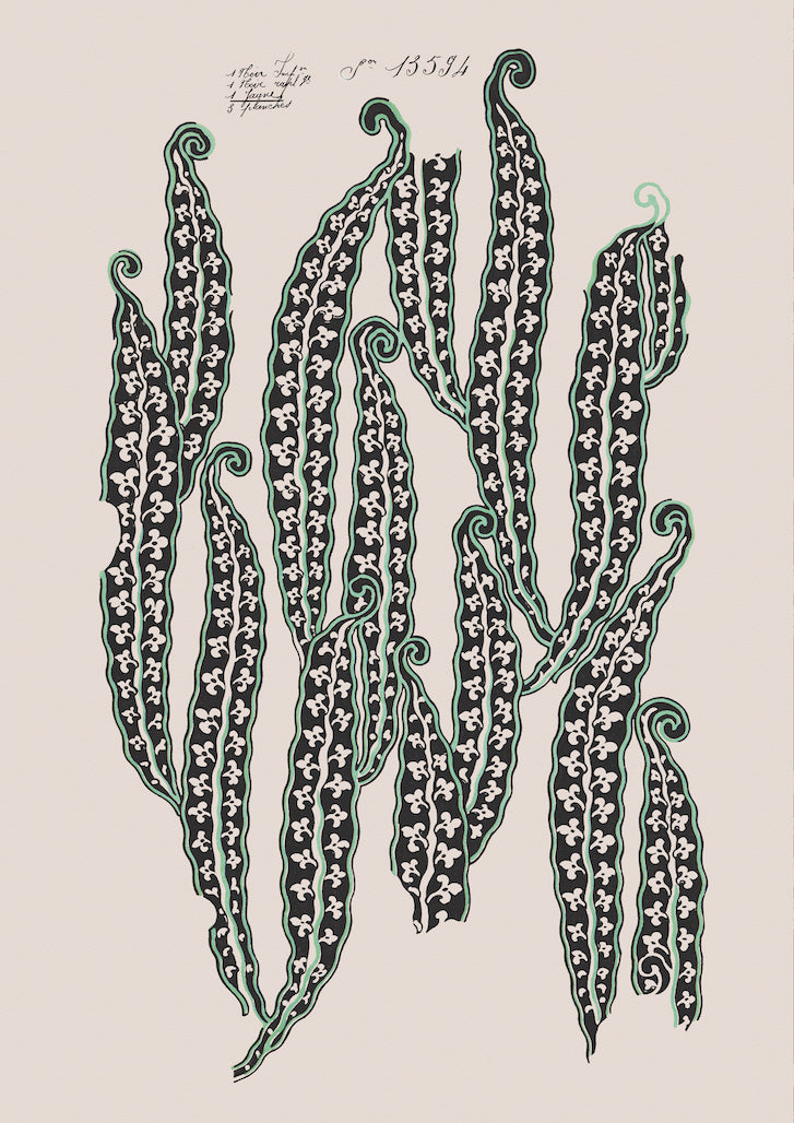 Magic Beans II Vintage Archive Poster Print