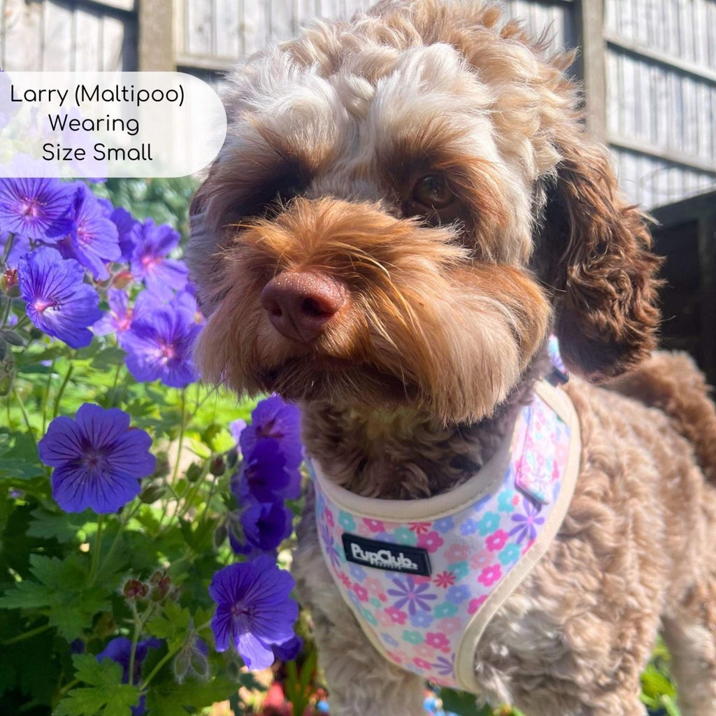 Pretty Petals Adjustable Dog Harness