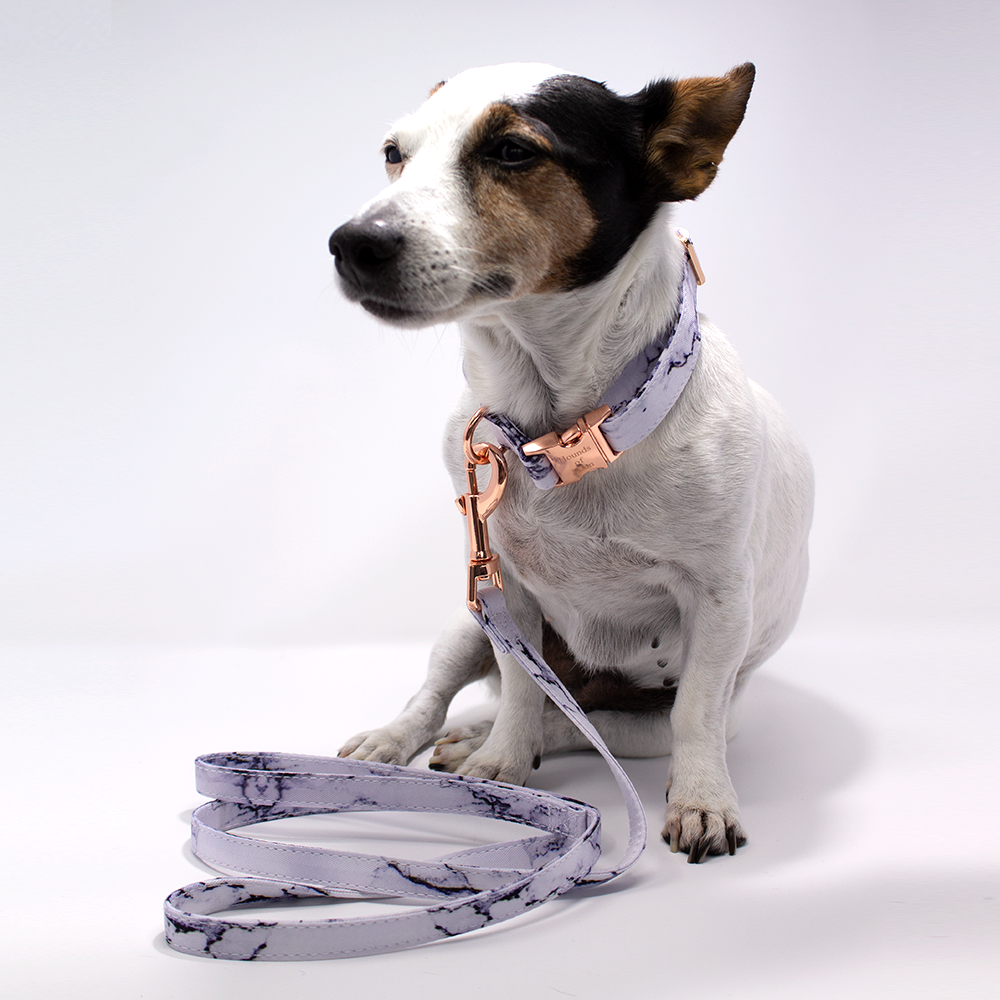 Arabella Marble Dog Lead