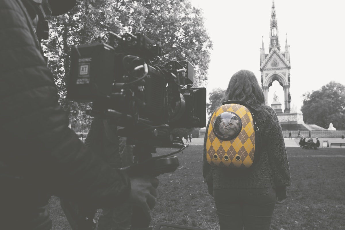 Confessions of Claudia Schiffer's Cat