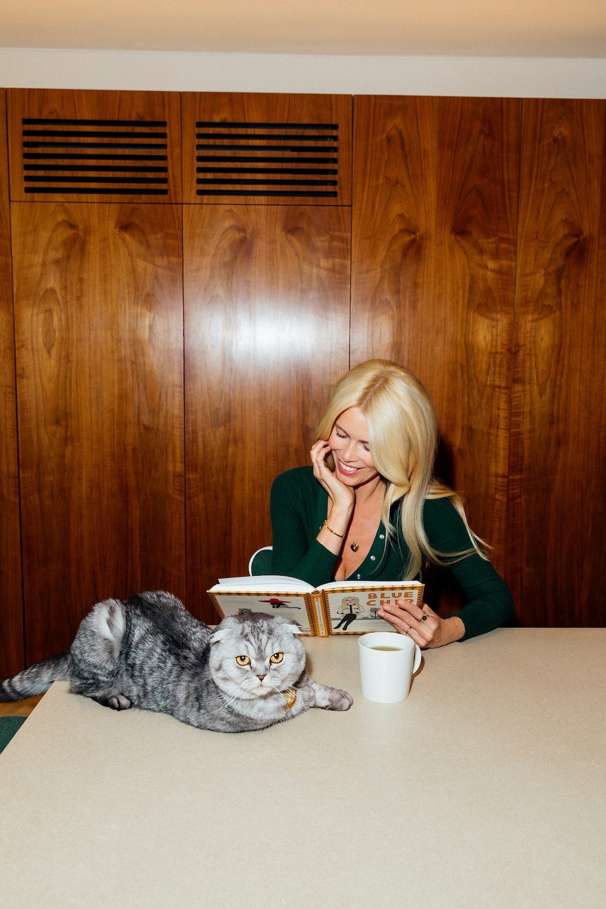Confessions of Claudia Schiffer's Cat