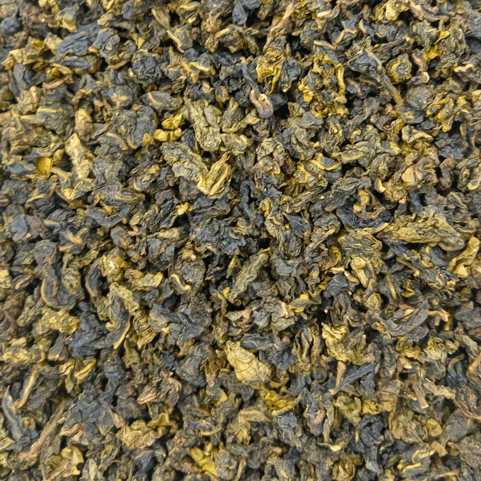 Quanzhou Milk Oolong