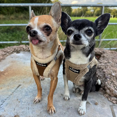 Step In Soft Touch Suede Faux Fur Lined Puppy and Small Dog Harness Mocha