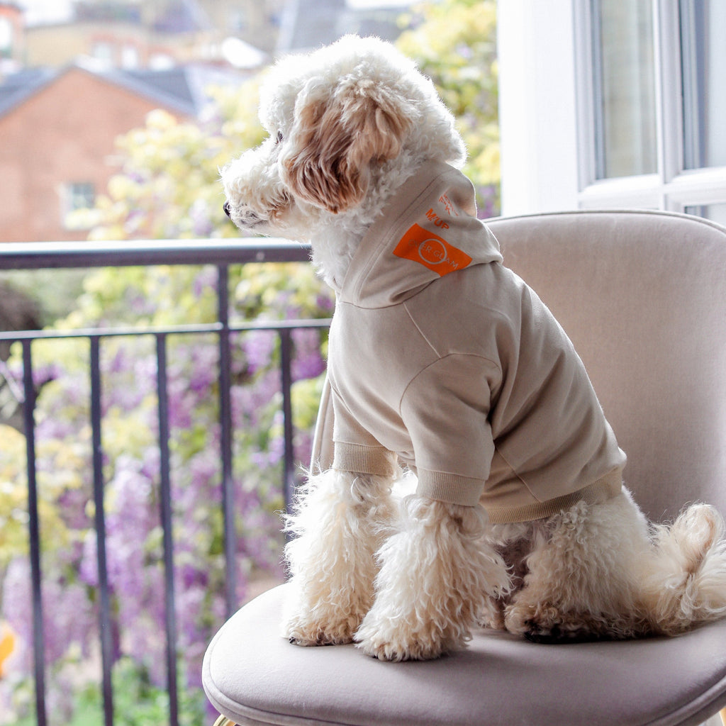 Don't Mess Me Up Hoodie White and Apricot